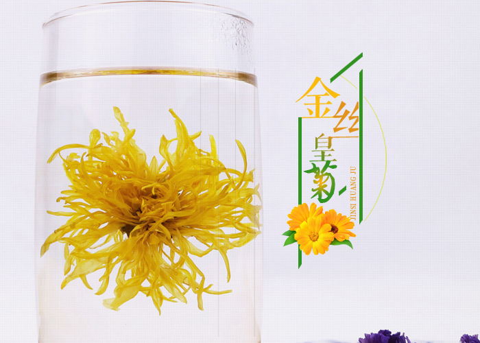 金丝皇菊